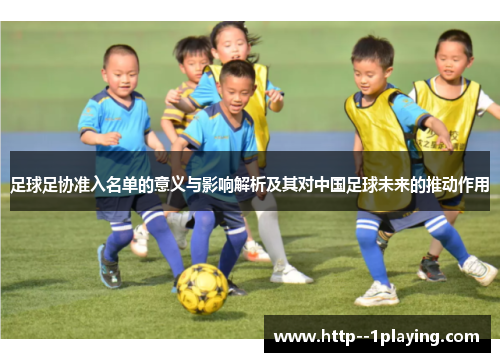 足球足协准入名单的意义与影响解析及其对中国足球未来的推动作用