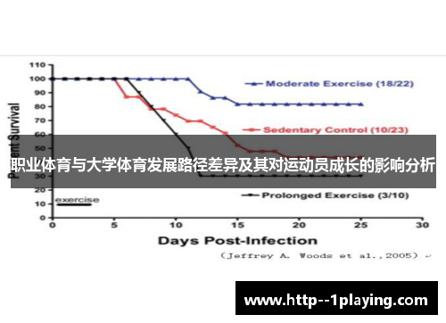 职业体育与大学体育发展路径差异及其对运动员成长的影响分析
